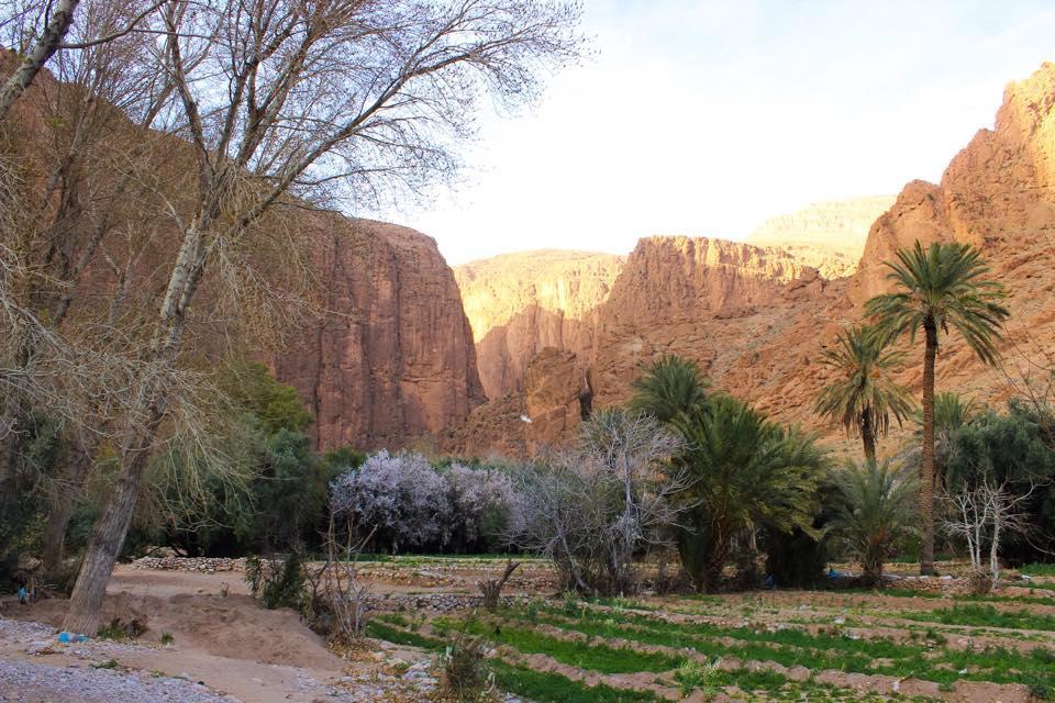 Dar Ayour Todra Gorges Aït Baha المظهر الخارجي الصورة